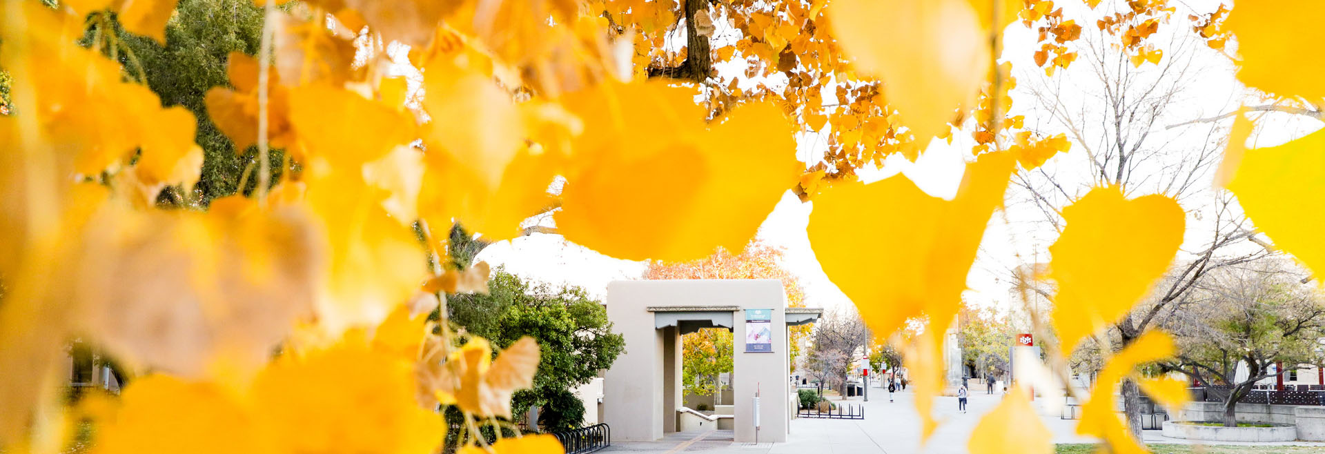 Save the Date: Diversity Summit: Náásgóó April 17-18 2026