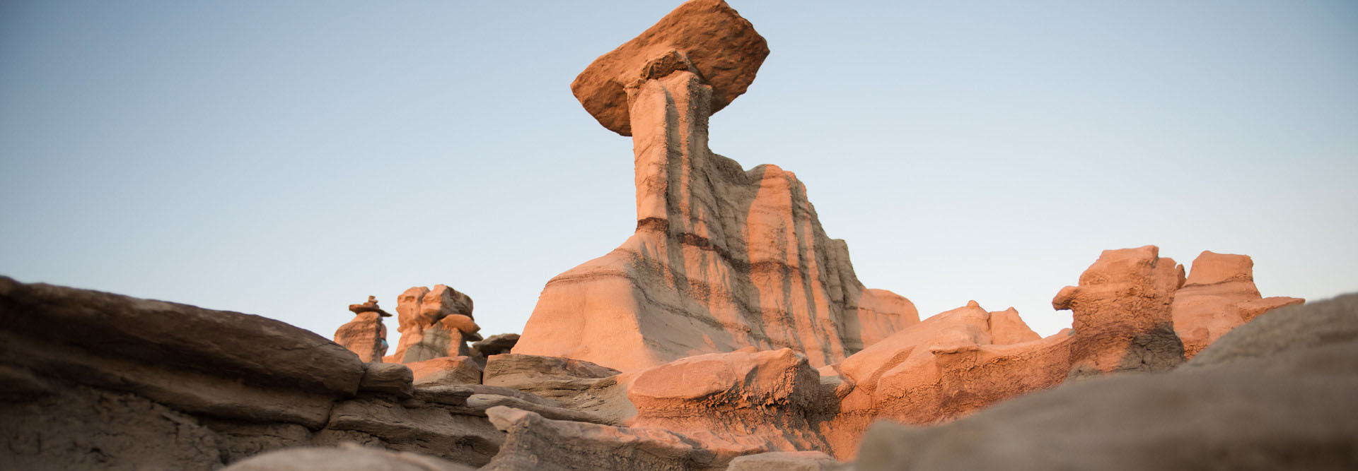 Monthly Alza Council Hybrid Meeting